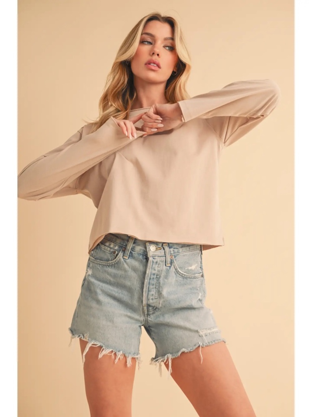 Relaxed Crewneck Long-Sleeve Crop Top in Light Beige